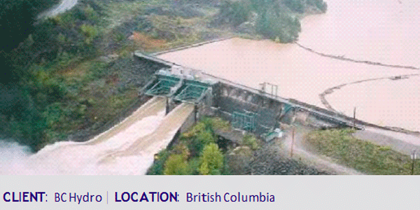 Reliability Risk Study – Water Storage